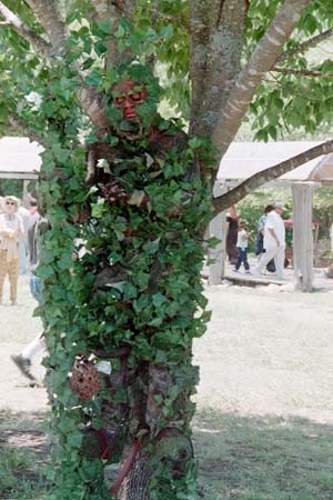 Img20
