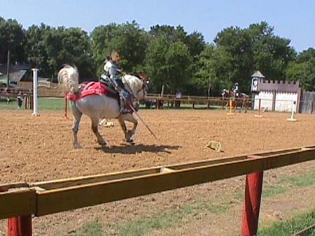 2003sf-020
