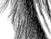 Again - black & white version - a Gravitation image by bakayaro onna