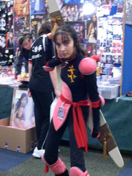 2004af-013sa